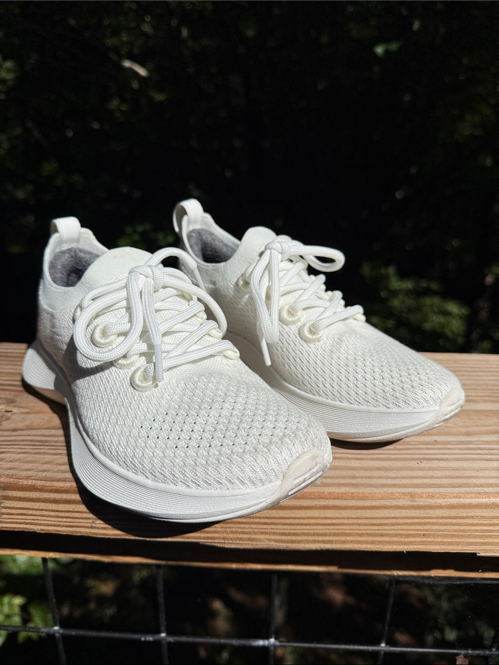 allbirds Women's Dasher NZ White Knit Lace-Up Runners